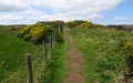 Causeway Coast