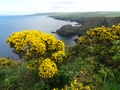 Causeway Coast