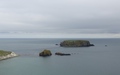 Sheep Island
