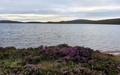 Loch na Gainimh