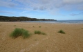 Strathy Beach