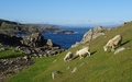 Strathy Point