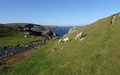 Strathy Point