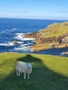 Strathy Point