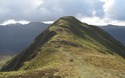 Whiteless Pike