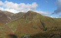 Whiteless Pike