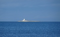 Coquet Island