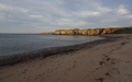 Coves Haven