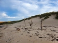 Coves Haven