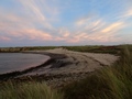 Coves Haven