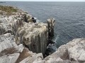 Inner Farne