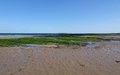 Uitzicht richting Inner Farne