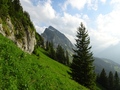 Fronalpstock