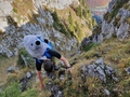 Jeroen de bergzeehond
