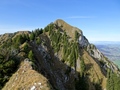 Nüschlete