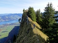 Nüschlete