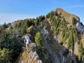 Nüschlete