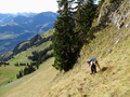 Nüschlete