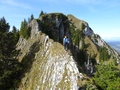 Nüschlete