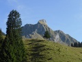 Gantrisch
