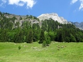 Ralli