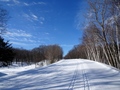 Gatineau Park