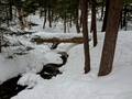 Gatineau Park: Lauriault Trail