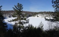 Gatineau Park: Pink Lake