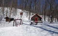 Gatineau Park: Shilly Shally