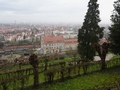 Bamberg