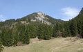 Burgberger Hörnle