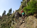 Burgberger Hörnle: Funkenweg