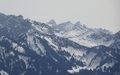 Großer Krottenkopf