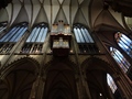 Köln: Dom