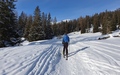 Muntogna da Schons