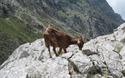 Ruta del Cares
