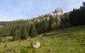 Blaue Tosse