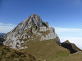 Pilatus Esel