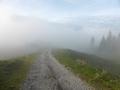 Terug in de mist