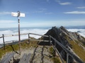 Tomlishorn