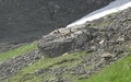 Steenbokken