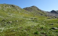 Pischahorn Südgrat