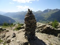 Seehorn