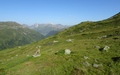 Tschuggenberg