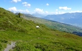 Hoch Büel