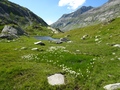 Val Cadlimo