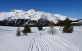 Piz Arblatsch vanop de Alp Flix