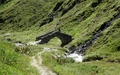 Septimerpass