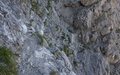 Senda Verticale