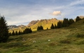 Alp Flix